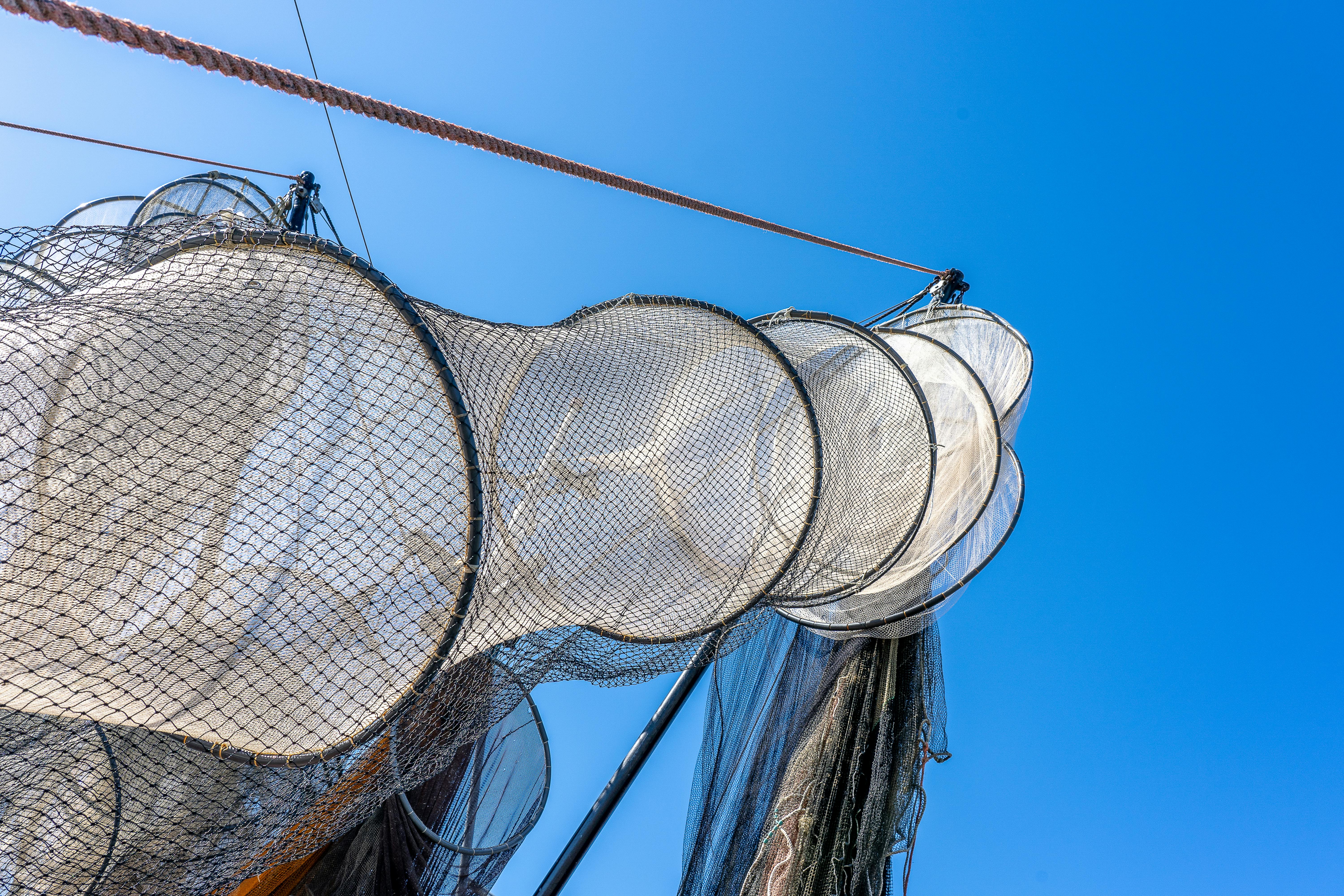 Hanging Fishing Nets on the Background of a Blue Sky · Free Stock Photo