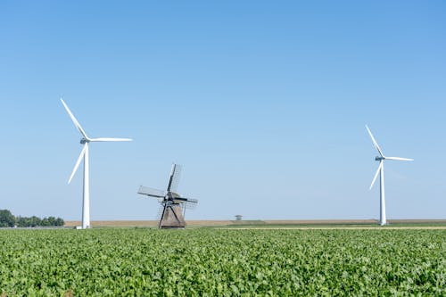 Windmills in the Farmland