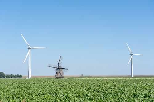 Foto profissional grátis de agricultura, campo agrícola, chácara