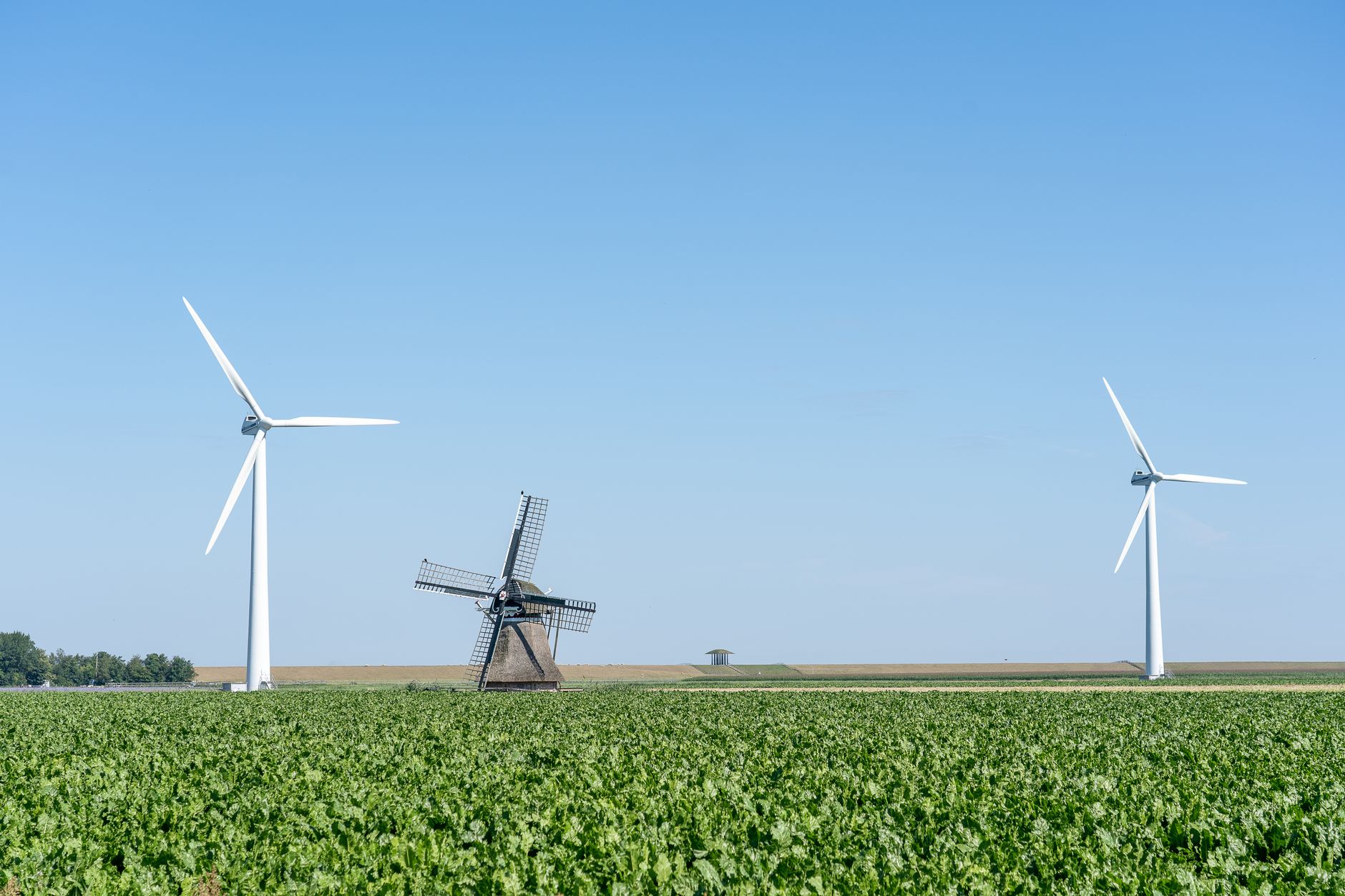A modern wind farm with turbines and traditional windmill on a vast green farmland.