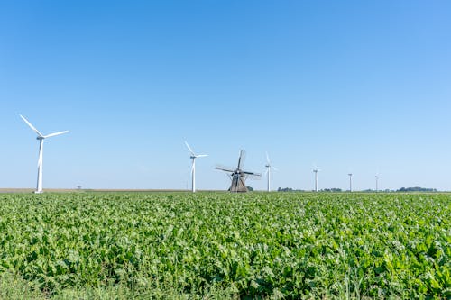Landscape with Windmill and Wind Turbines