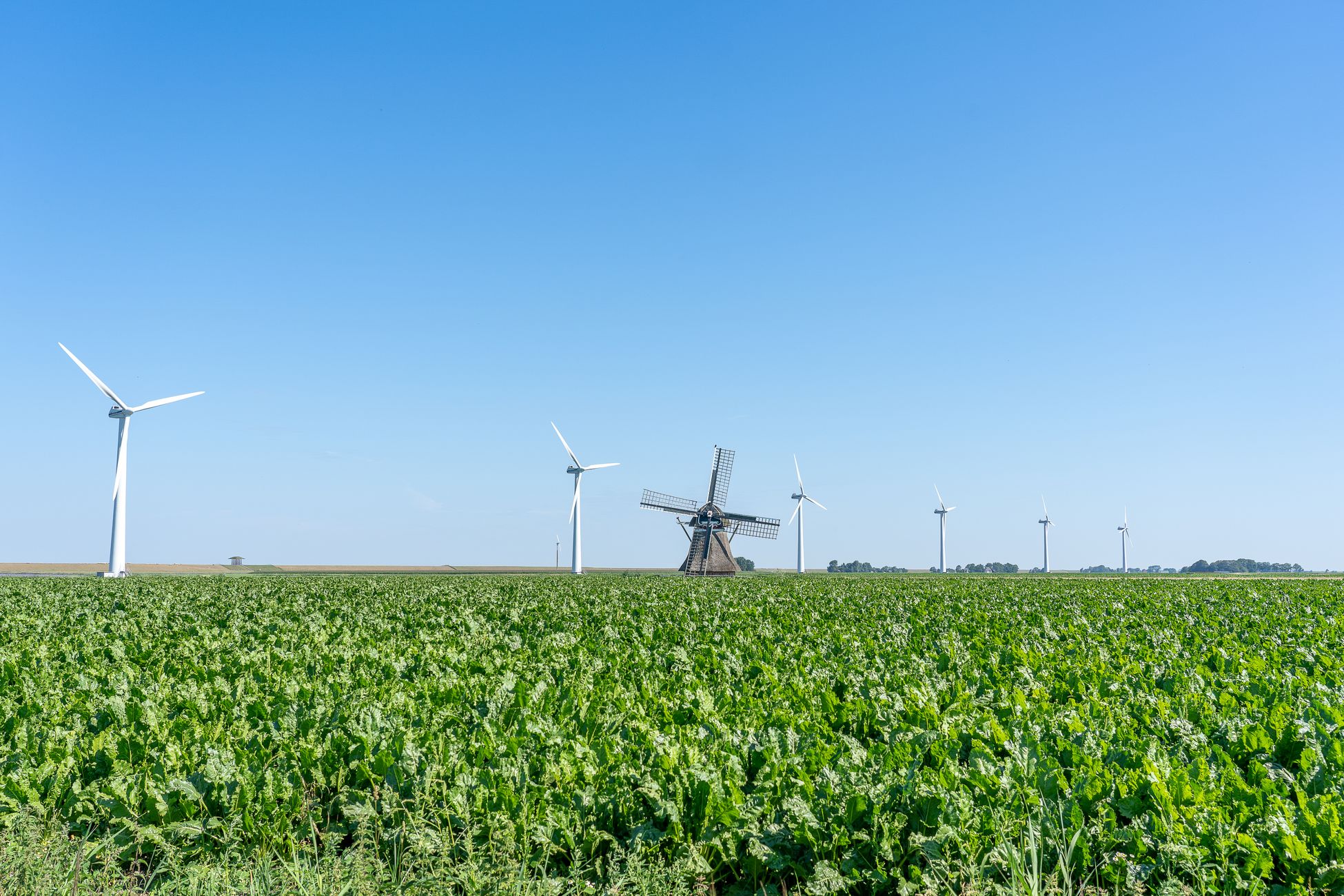 Windmolenbouwer Windmolens op Maat in Oldenzijl failliet verklaard