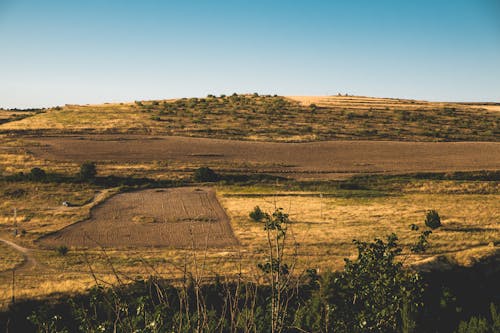 Ingyenes stockfotó domb, farm, földművelés témában Stockfotó