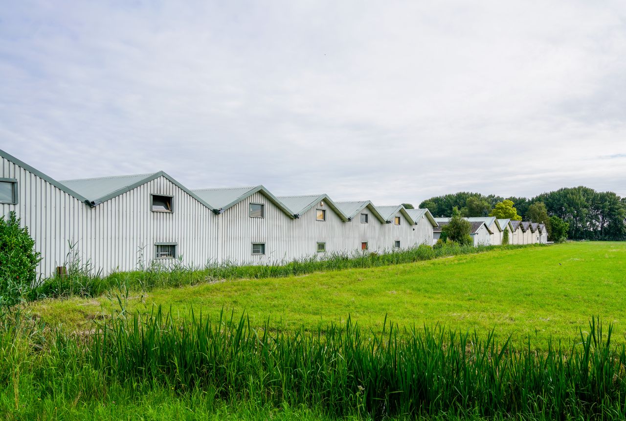 Storage & moves to storage Talysarn — removals work in progress