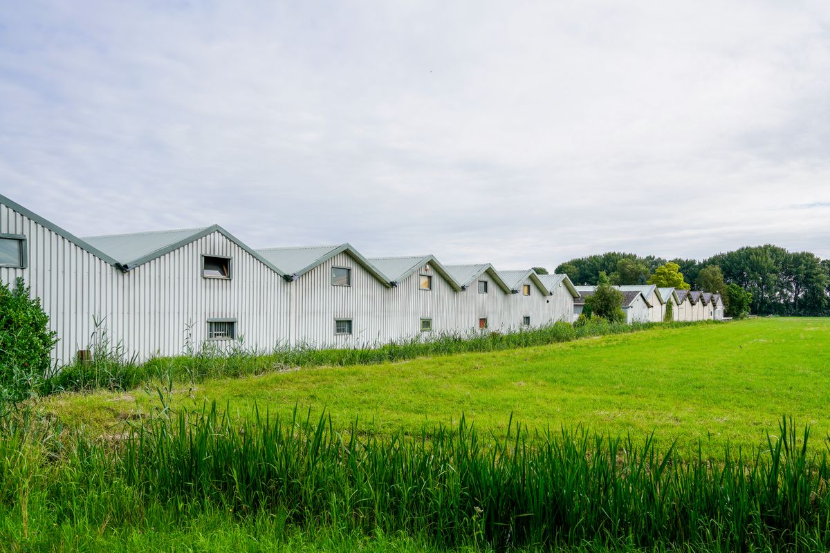 storage moves in Chalgrove — Loaded properly: blankets, straps and a plan in Chalgrove