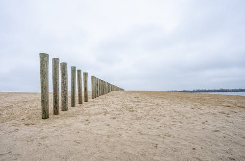 Palisade on Beach