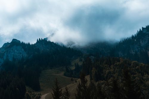 Free A captivating view of mist-covered mountains and dense forest under a moody sky. Stock Photo