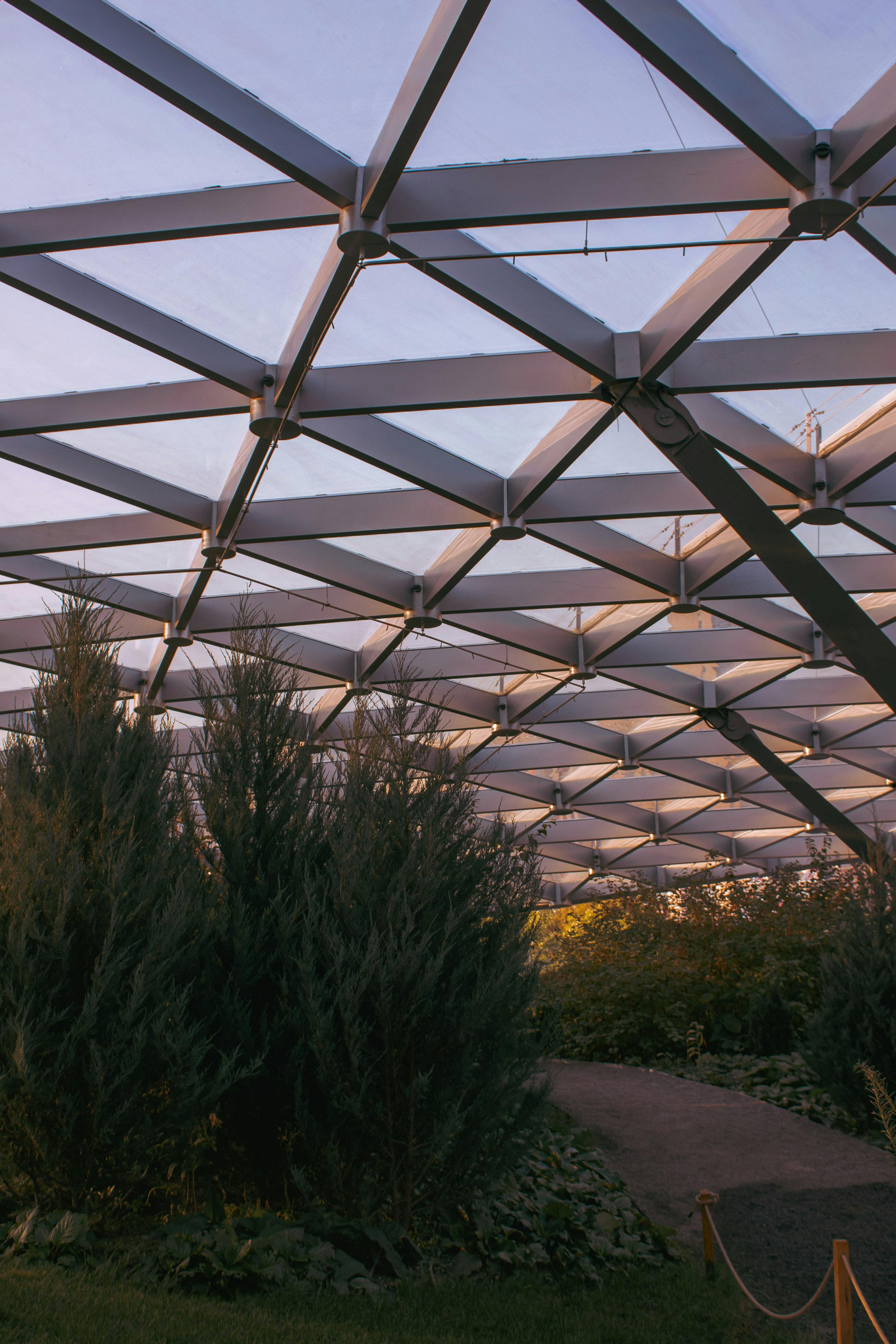 Glass Roofing Of A Greenhouse Free Stock Photo   Pexels Photo 5512090 