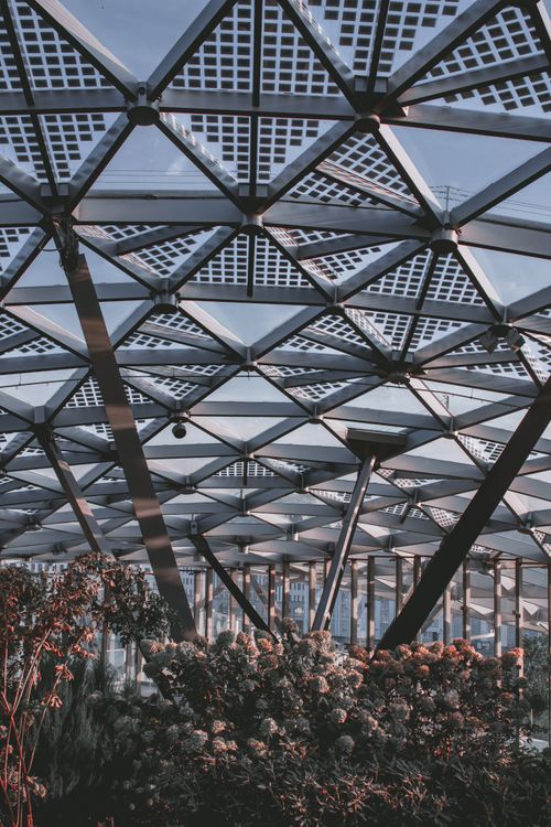 Free View of the geometric glass roof and vegetation in a modern greenhouse. Stock Photo