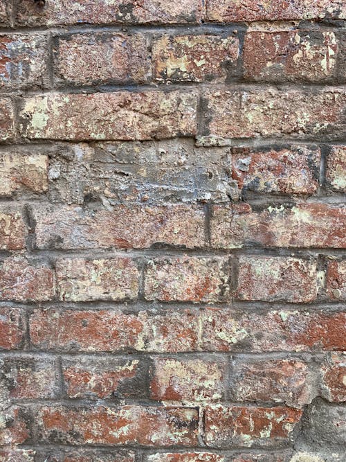 Free Brown and Gray Brick Wall Stock Photo