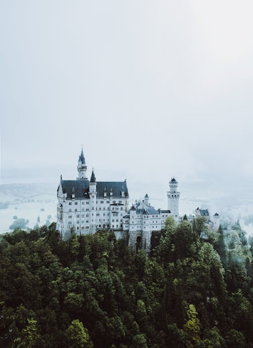 Free Neuschwanstein Castle on Top of Green Trees Stock Photo