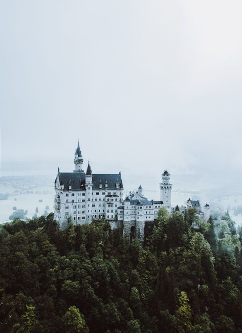 Mystical view of Neuschwanstein Castle surrounded by foggy Bavarian forest from a high vantage point.