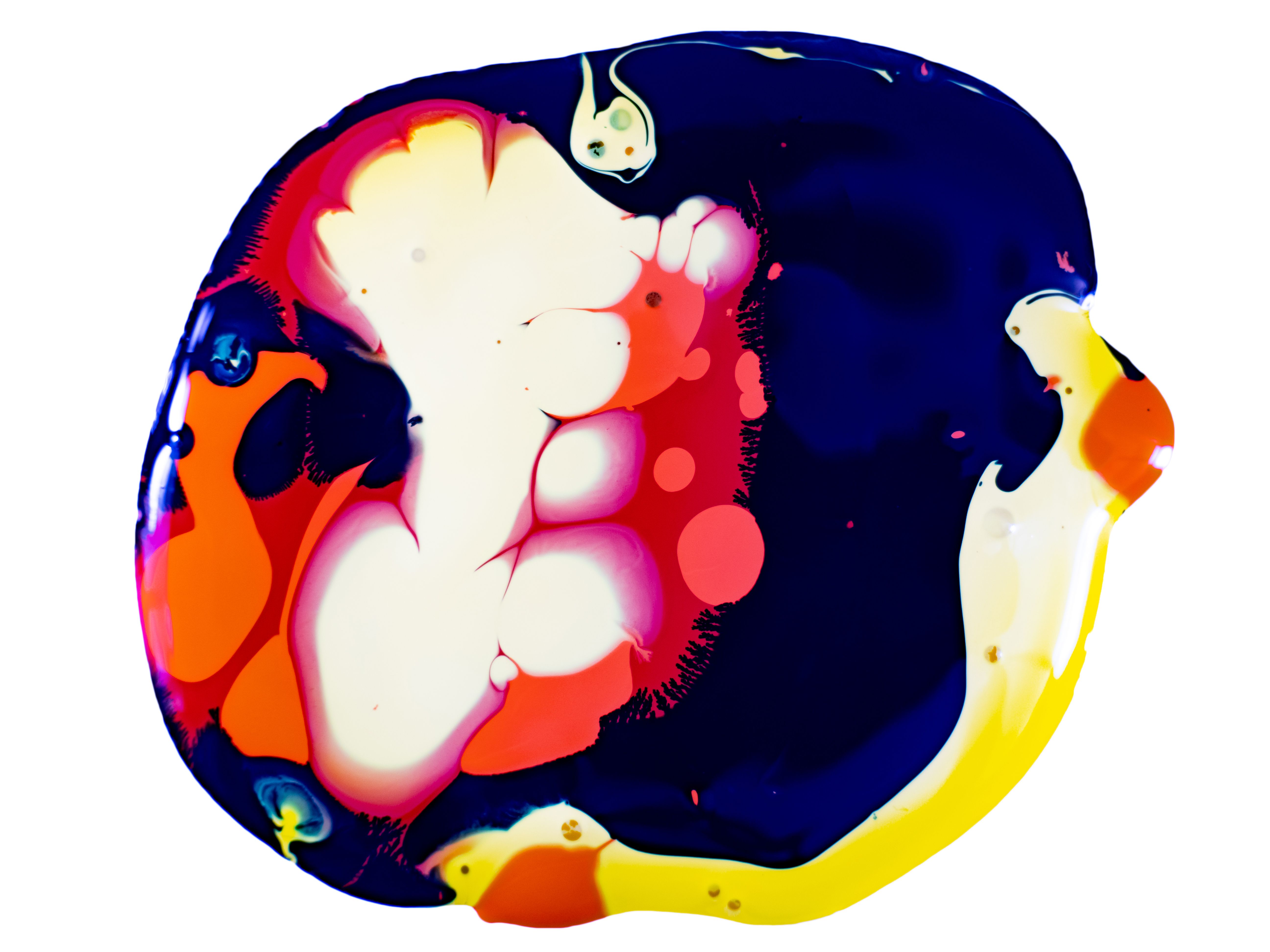 Colorful Splotch of Paint on White Back · Free Stock Photo