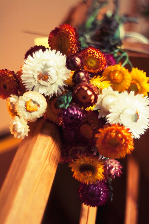 무료 건조기, 계절, 꽃의 무료 스톡 사진