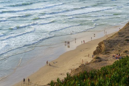 Free Aerial view of tourists enjoying a sunny day on a sandy beach with ocean waves. Stock Photo