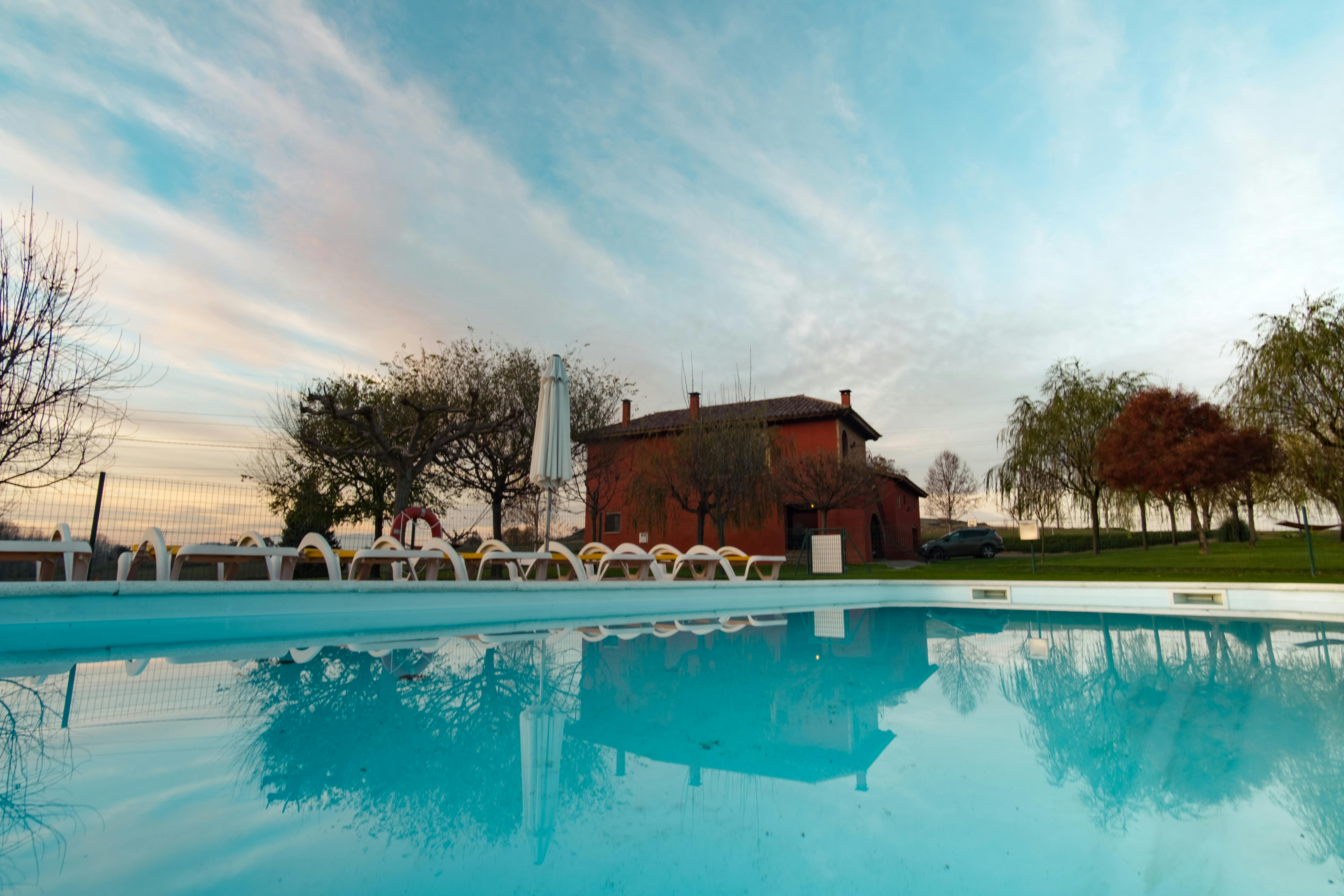 A swarm of mosquitoes hovering over a backyard garden