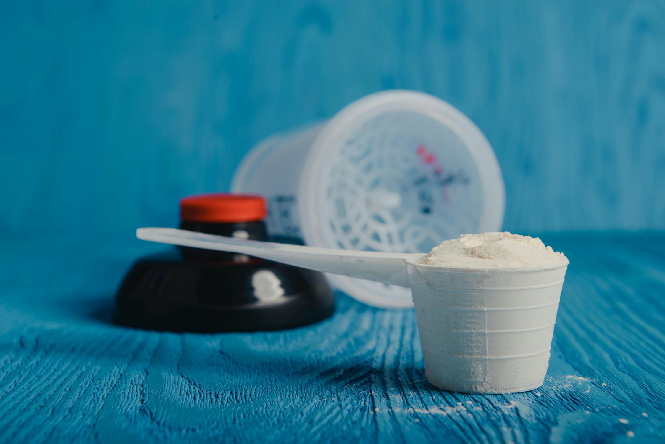 protein powder in a scoop