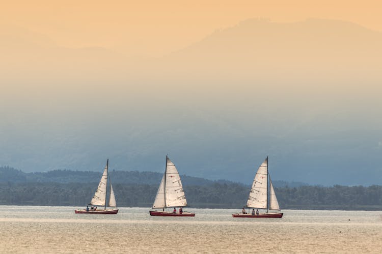 People Riding Sail Boats Sailing On The Sea