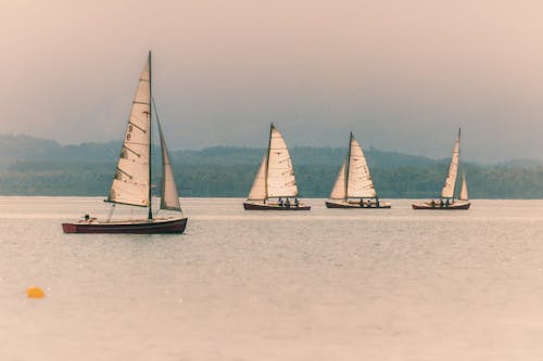 Sailboats on the Sea Bay
