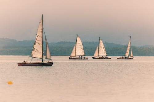 Foto profissional grátis de água, barcos, carro