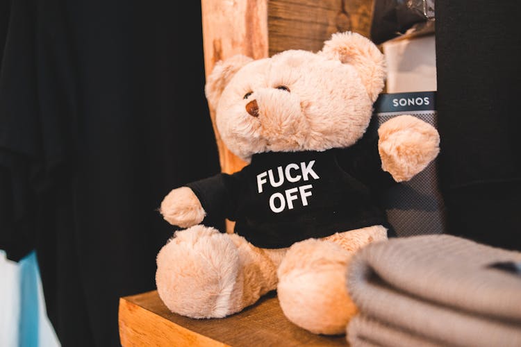 Teddy Bear Placed On Wooden Shelf With Clothes