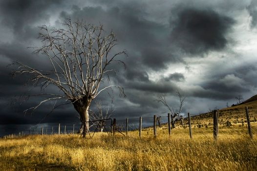 An ominous storm cloud looms over a dry rural landscape with a solitary bare tree and fence.