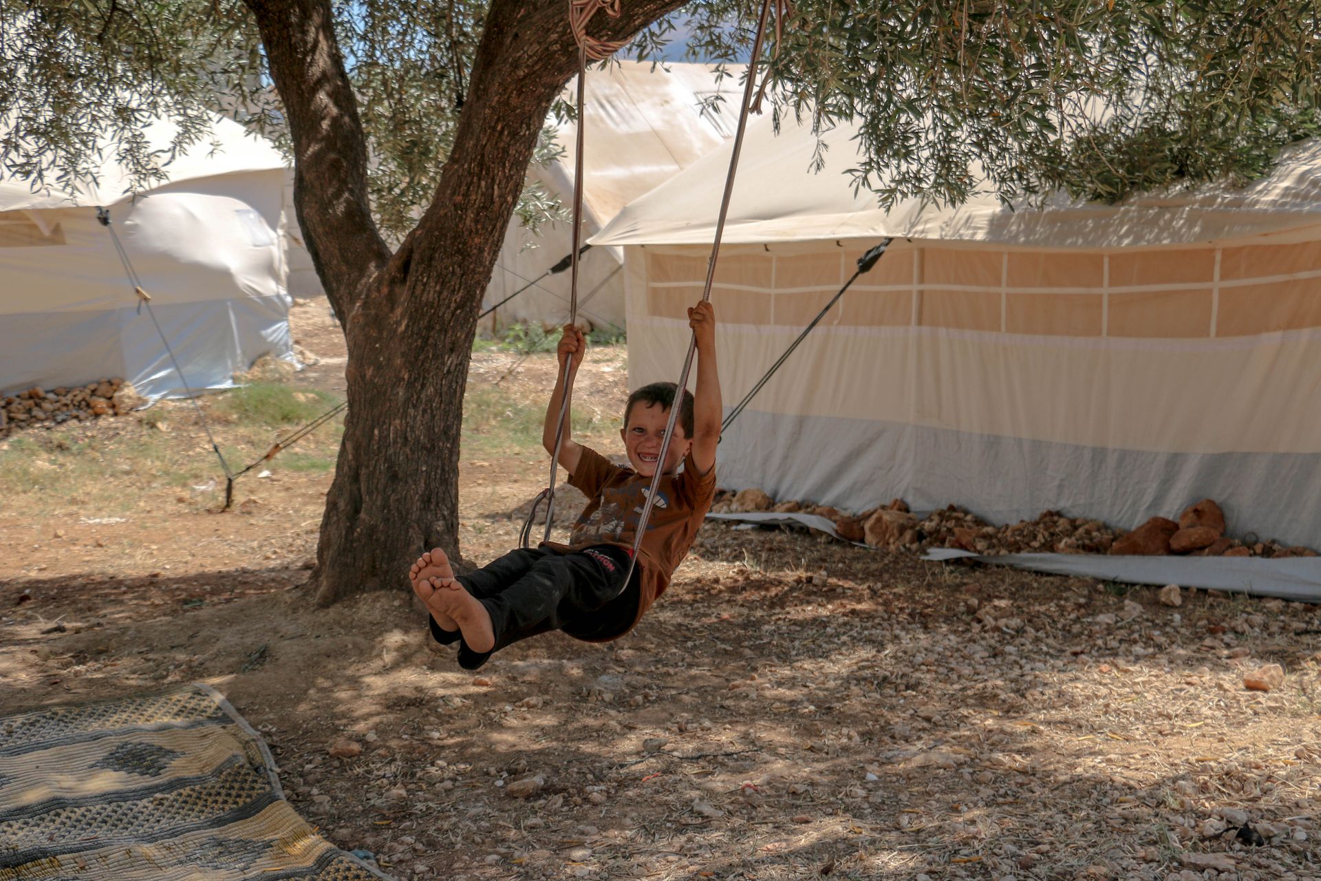 A happy child swinging under an olive tree near a tent in Syria, enjoying a carefree moment.