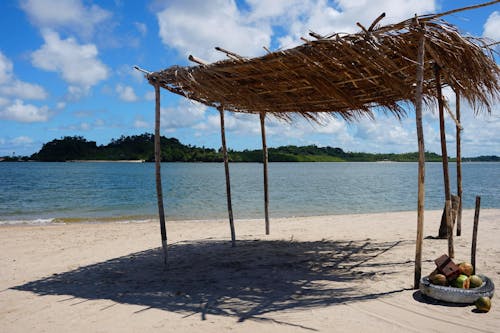 Foto stok gratis air pantai, brasil, jerami