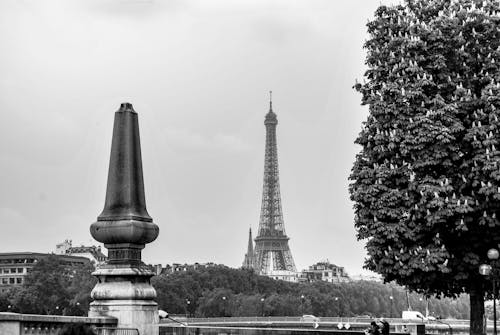 ağaçlar, eiffel kulesi, Fransa içeren Ücretsiz stok fotoğraf