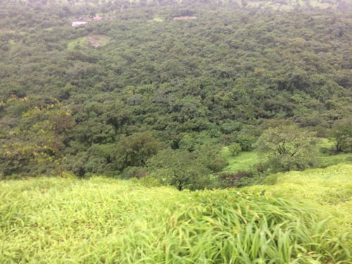 Foto profissional grátis de clima, forte, natureza