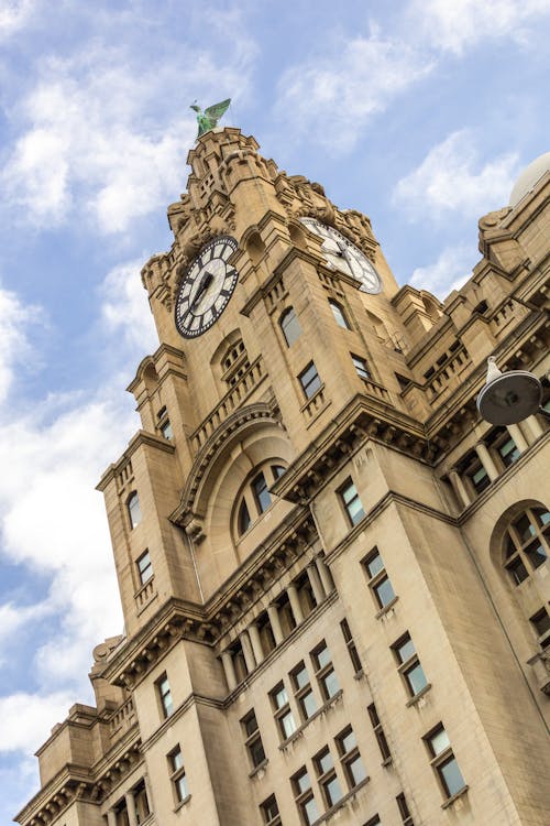 Free stock photo of liver bird, liver building, liverpool