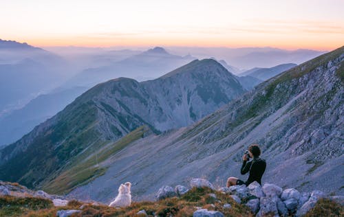 Безкоштовне стокове фото на тему «Альпи, альпінізм, вершина гори»