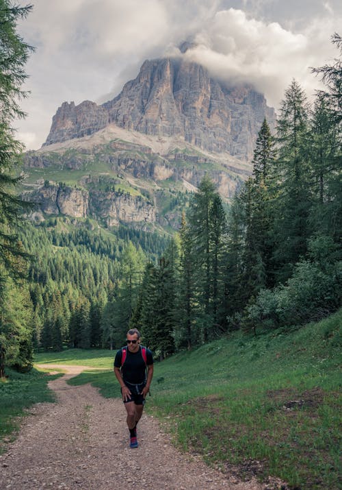 Uomo Che Cammina Vicino A Alberi Di Pino E Montagna