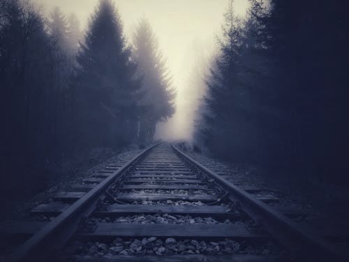 Free Train Tracks in Forest in Fog Stock Photo