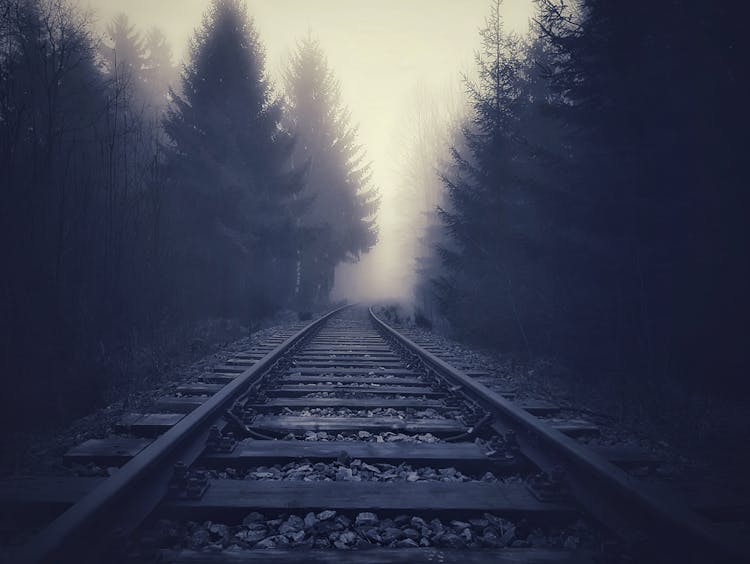 Train Tracks In Forest In Fog