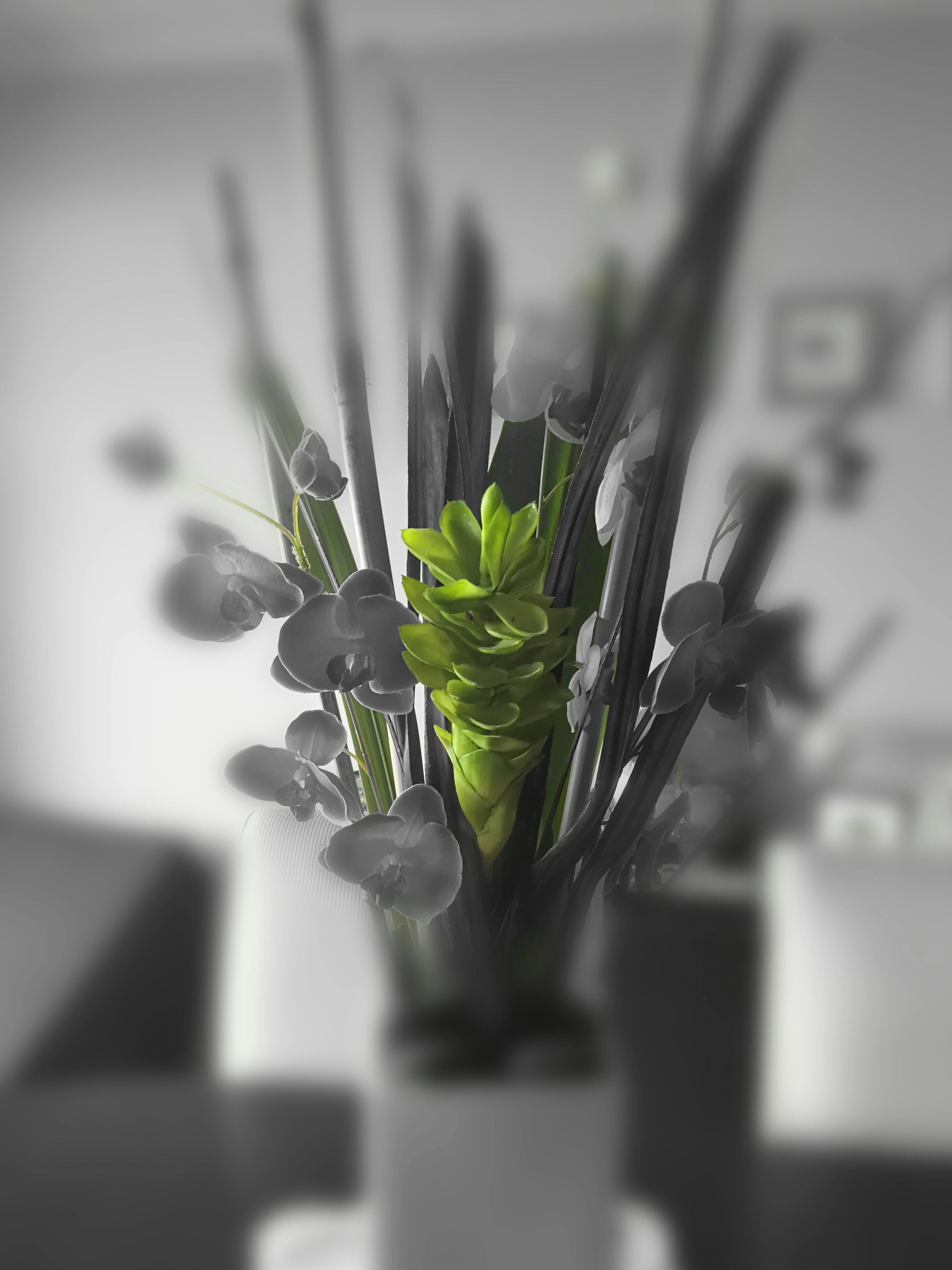 Free stock photo of artificial flowers, flowers, home interior