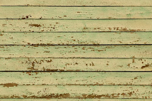 Close-Up Photo of a Green Wooden Wall
