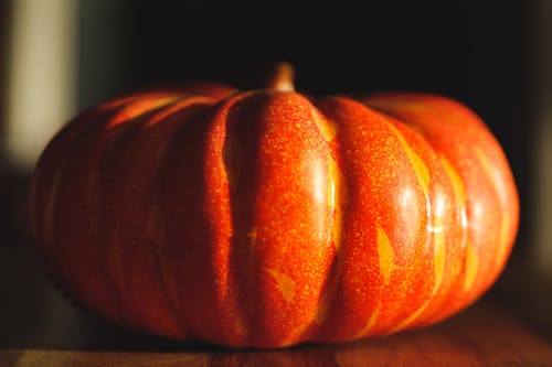 Close-Up Photo of an Orange Squash