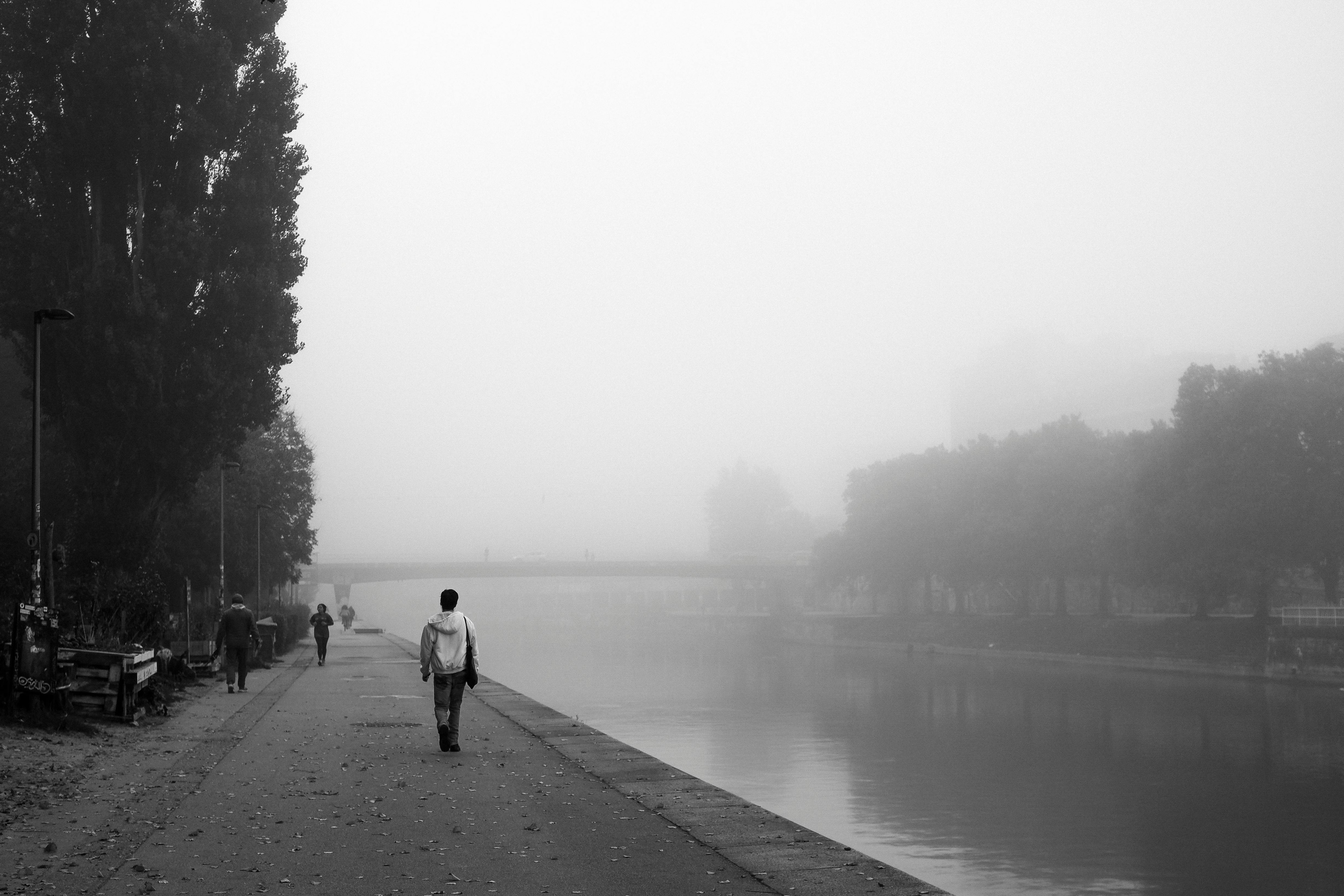 A serene, foggy morning walk along the river in Vienna captured in grayscale.