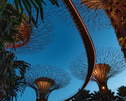 Kostnadsfri bild av jardins par la bahía, singapore, skog