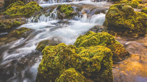 Cascades Entourées De Rochers