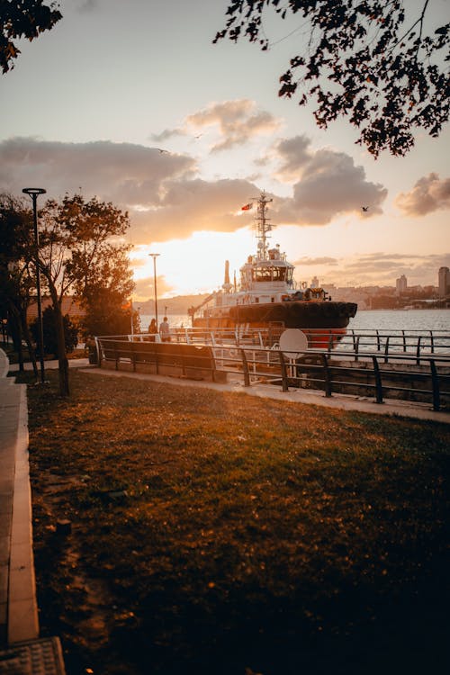 Lawn and ship floating on river in evening