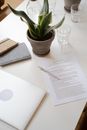 White Book Page Beside Green Potted Plant