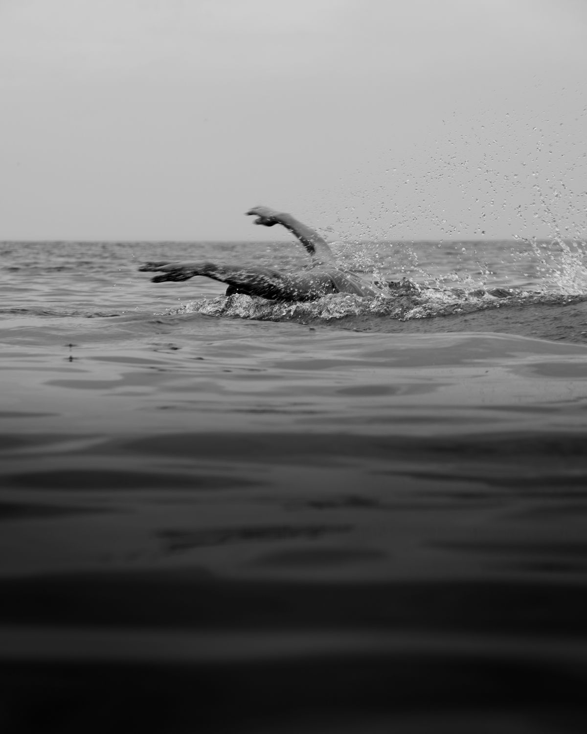 Photographe