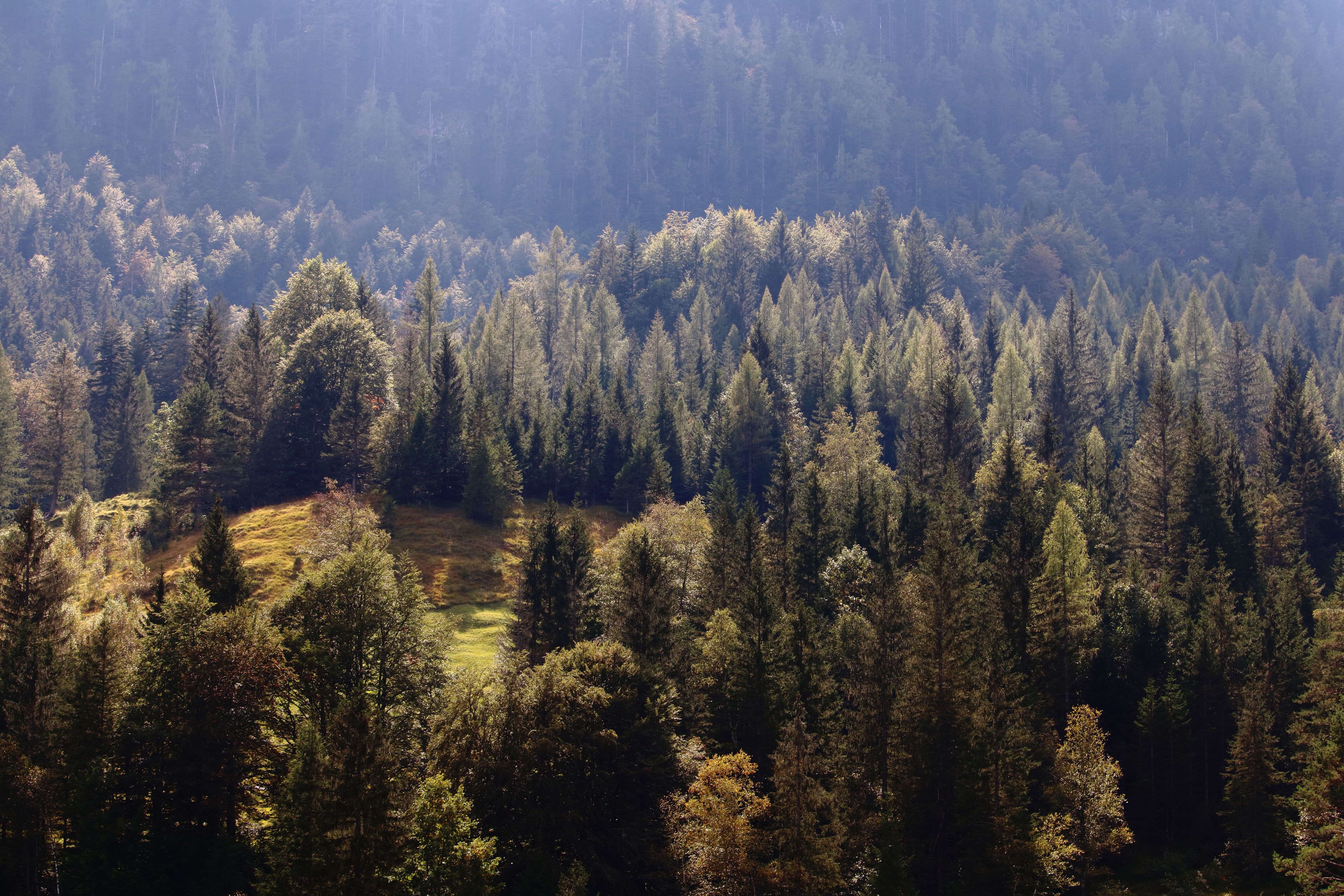 Безкоштовне стокове фото на тему «furna, graubunden, Альпи» стокове фото