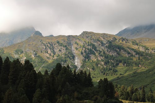 An Aerial Photography of Green Trees on Mountain Under the Cloudy Sky