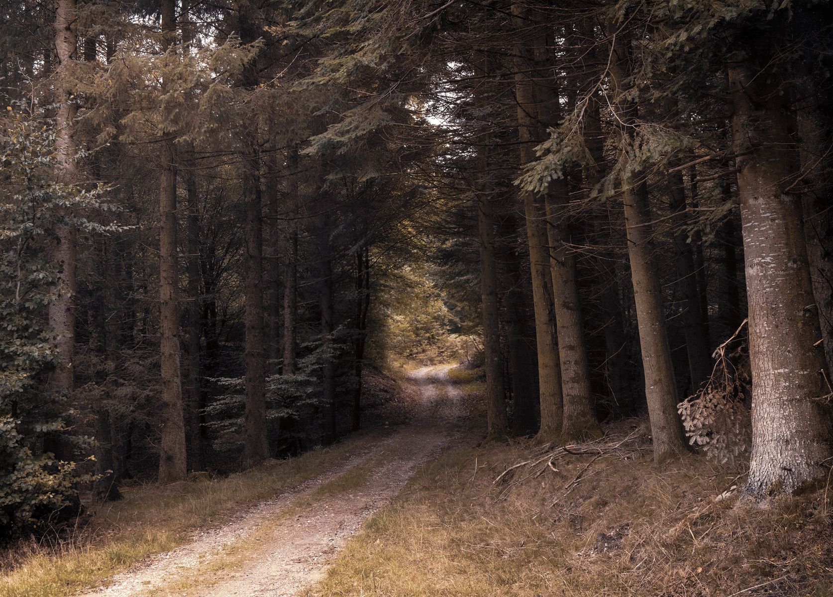 Outdoor adventure path