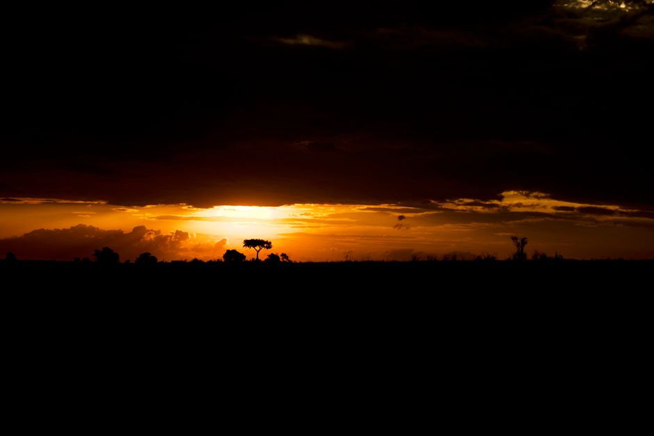 Explore Africa