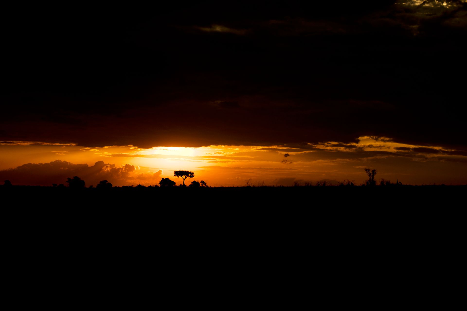 Golden hour wild landscape in Wilpattu