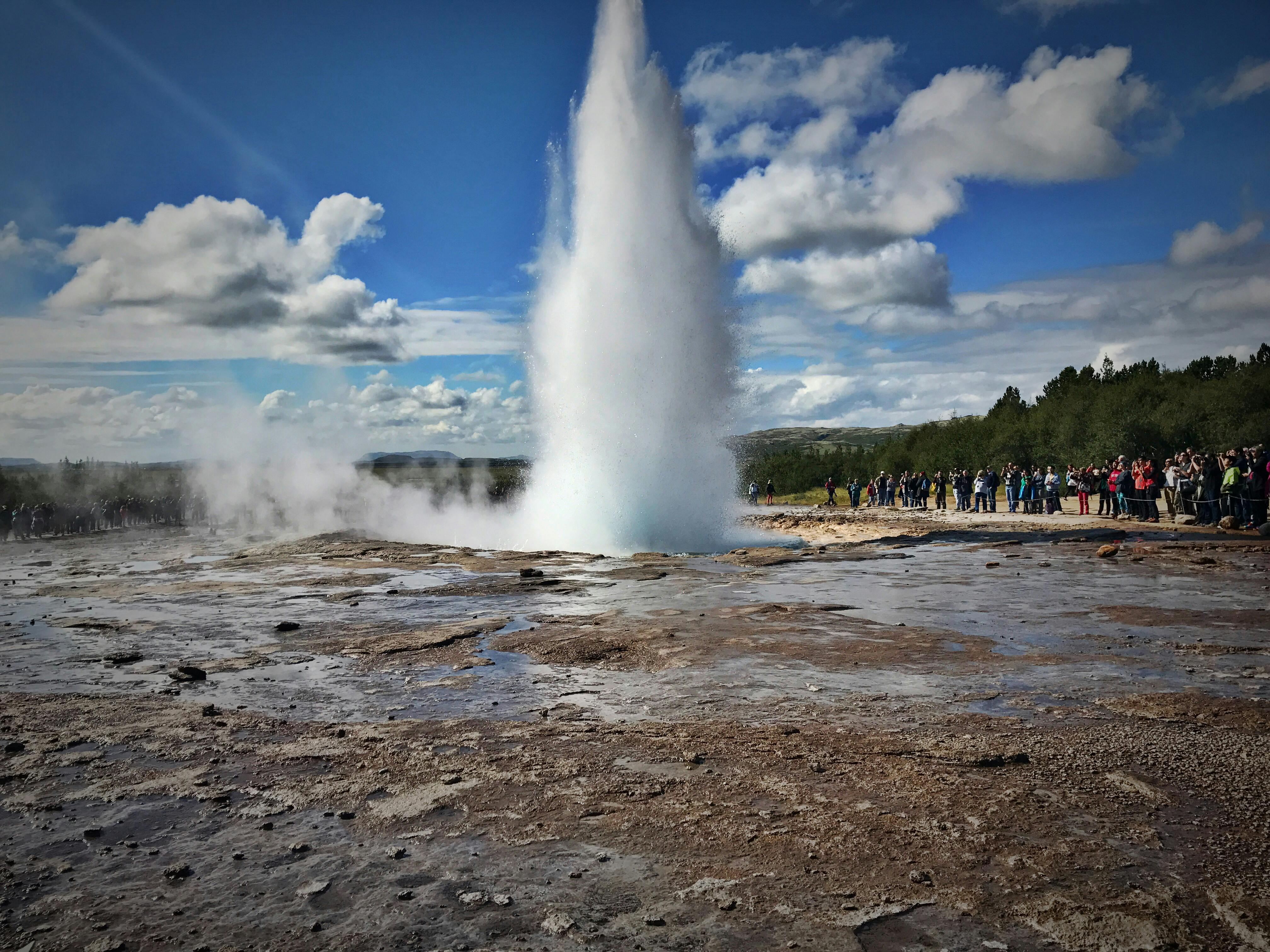 Let's watch geyser videos! | Yellowstone Treasures